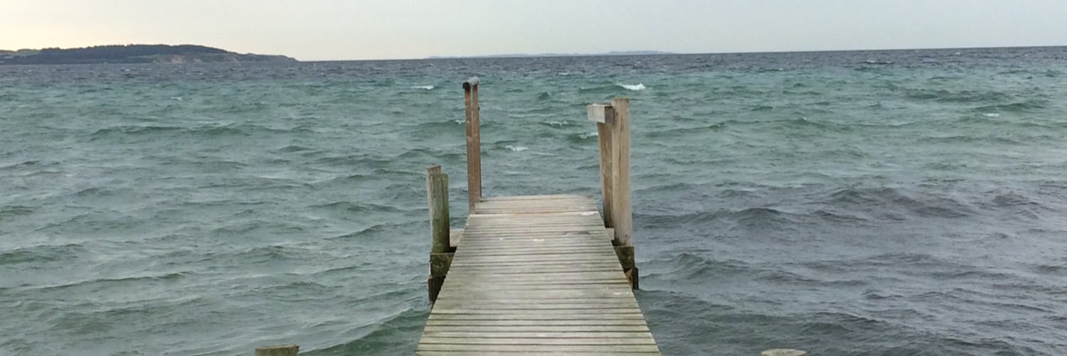 die Kühlschrank banner