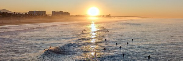 CryptoWoop Profile Banner