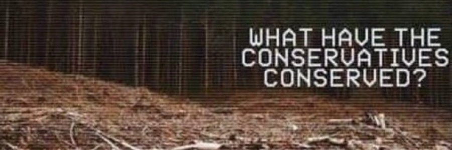 Archipelago8814's profile banner image