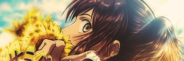 acervosashaa's profile banner image
