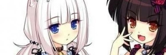 chvdlette's profile banner image