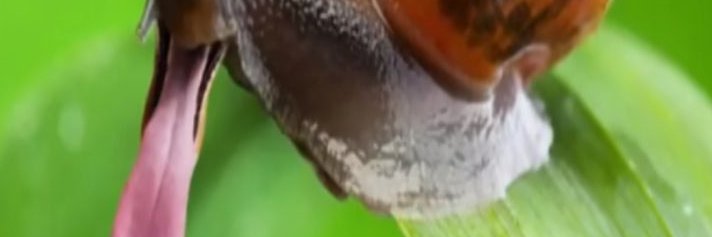 Lostsky37OG's profile banner image