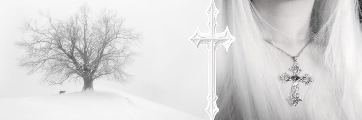 arcocristale's profile banner image