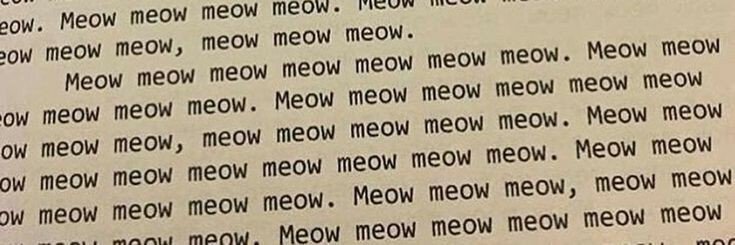 hmhkitty's profile banner image