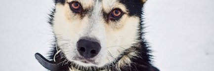 mistyhoppeg3rm's profile banner image