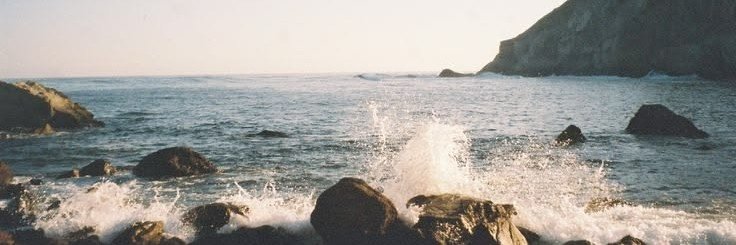 mizummo's profile banner image