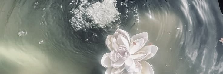 vinil707's profile banner image