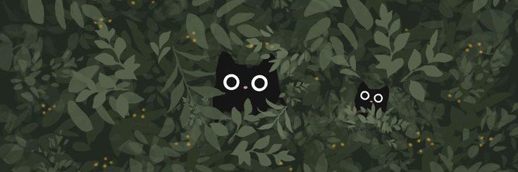 hakumeiiimi's profile banner image