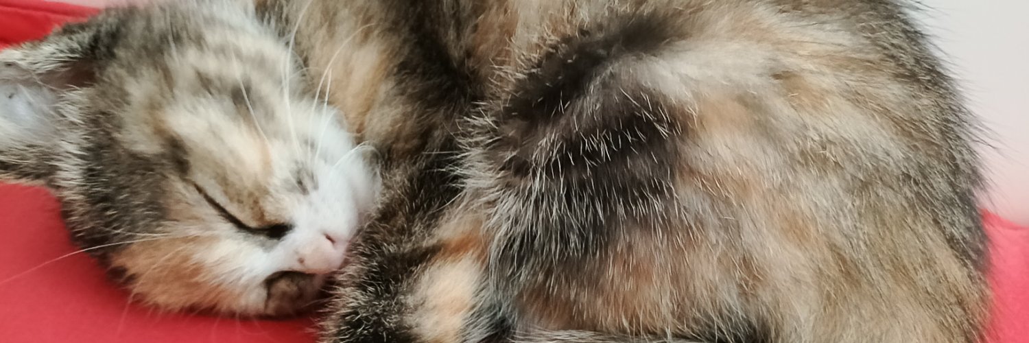 kv58iy's profile banner image