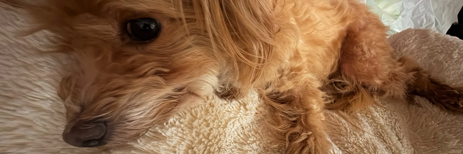 Emily_080516's profile banner image