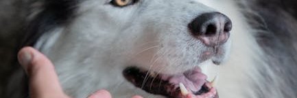 marilynbr5cnf's profile banner image