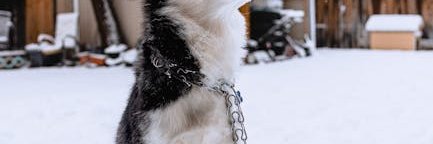 verawilder9ls's profile banner image