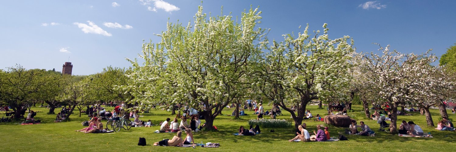 Svenska institutet banner