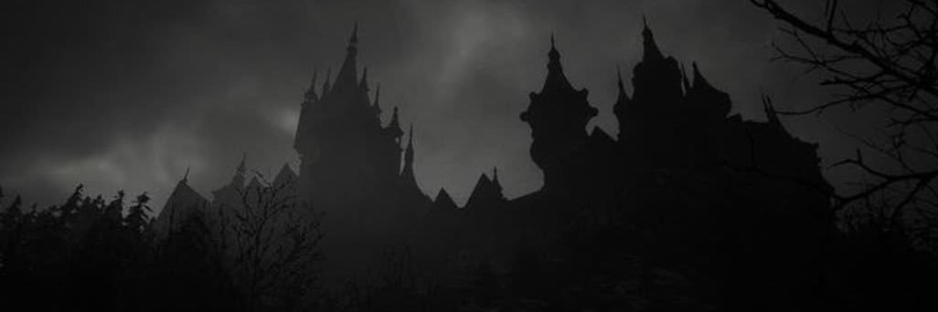 vxidborn_'s profile banner image