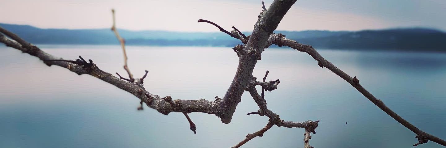 Jess_Abstract's profile banner image