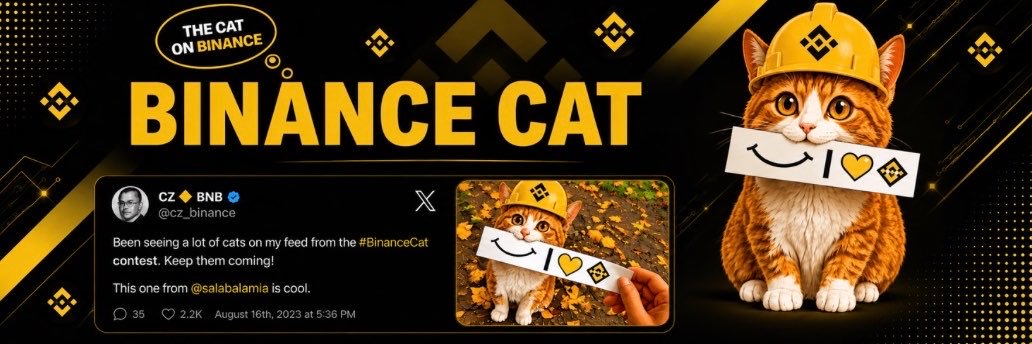 BNBCATOG's profile banner image