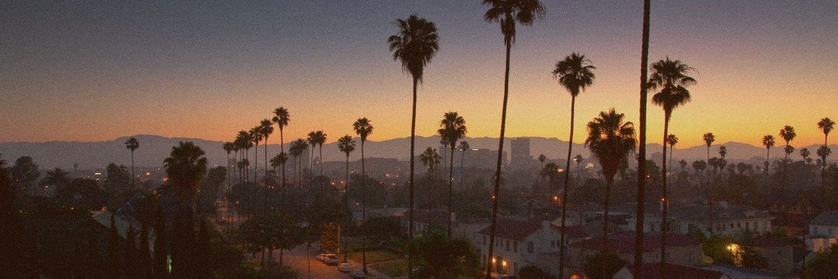 maltozv2's profile banner image