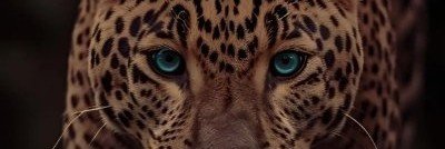 sxo4t's profile banner image