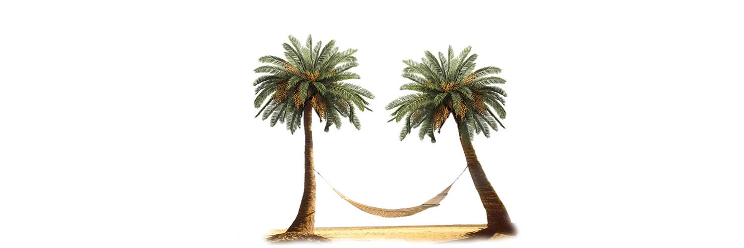 Dryfta's profile banner image