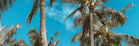 lynnspe_6qmxv's profile banner image