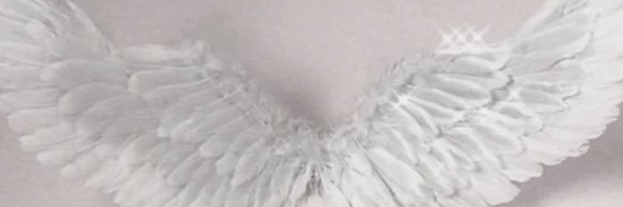 angelldustts's profile banner image