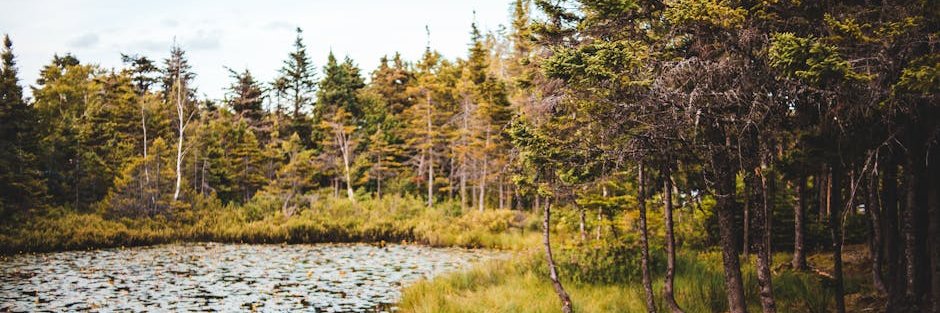 lorenefra_2od's profile banner image
