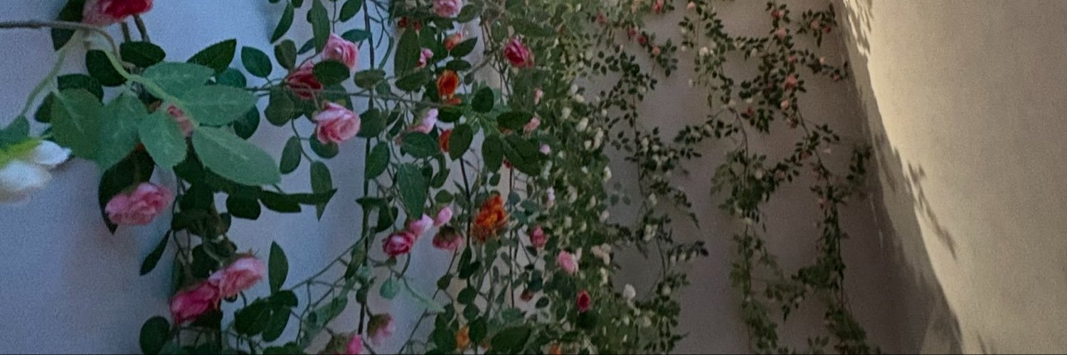 d9mfr_'s profile banner image