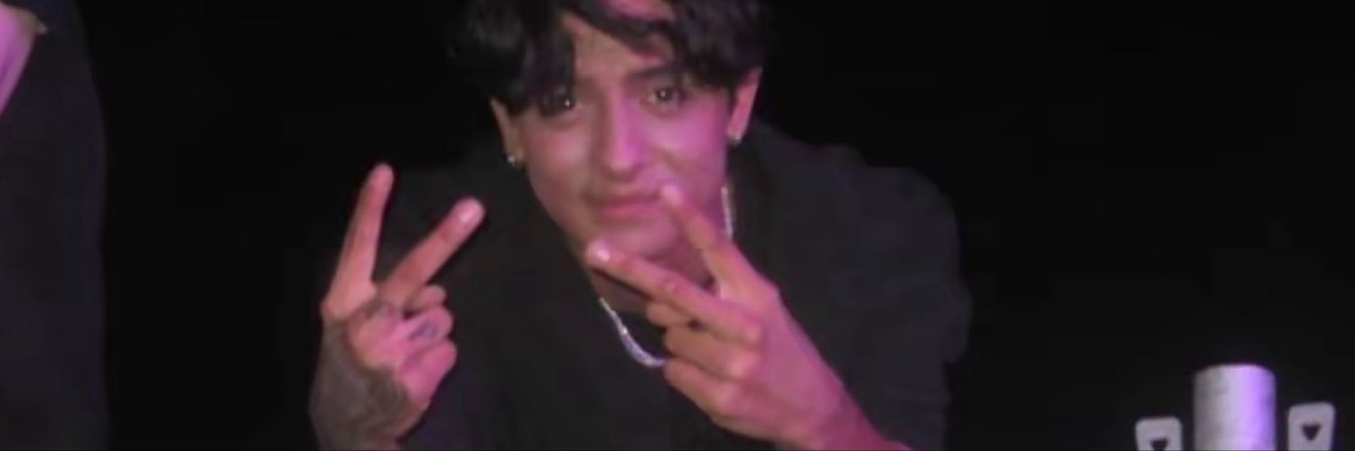 niluluarda's profile banner image