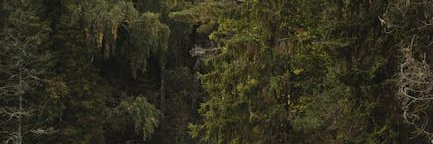benjamin_7ob's profile banner image