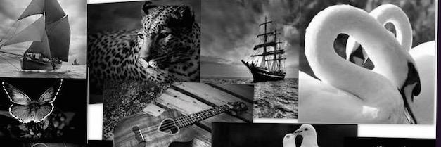 🙏🇺🇸𝑮𝒐𝒅 𝑩𝒍𝒆𝒔𝒔 𝑨𝒎𝒆𝒓𝒊𝒄𝒂🇺🇸🙏 banner