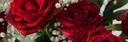 bryanva_0vho's profile banner image