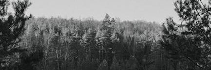 blanch1rgcs's profile banner image