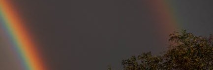 williew6fwvt's profile banner image