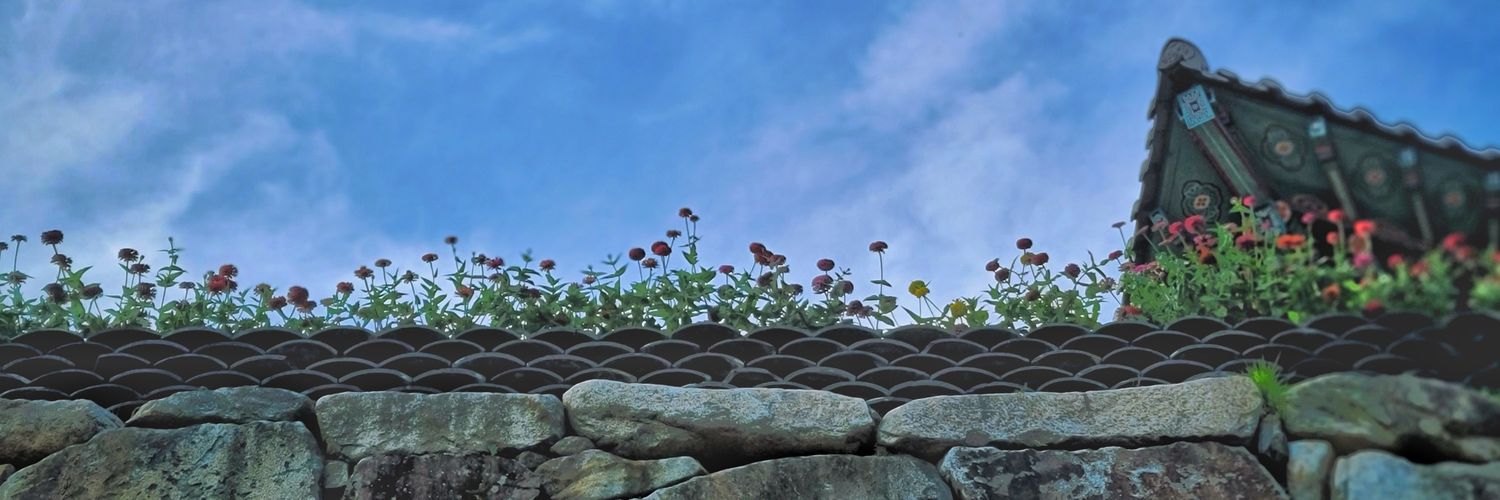 v0rum1's profile banner image