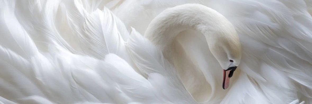 Ruurrrry's profile banner image