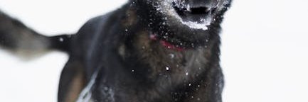 jeffreystr_5fy's profile banner image