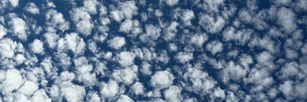 anon6002000's profile banner image