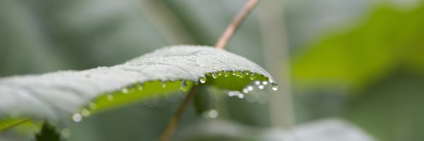 CirTecBV Profile Banner
