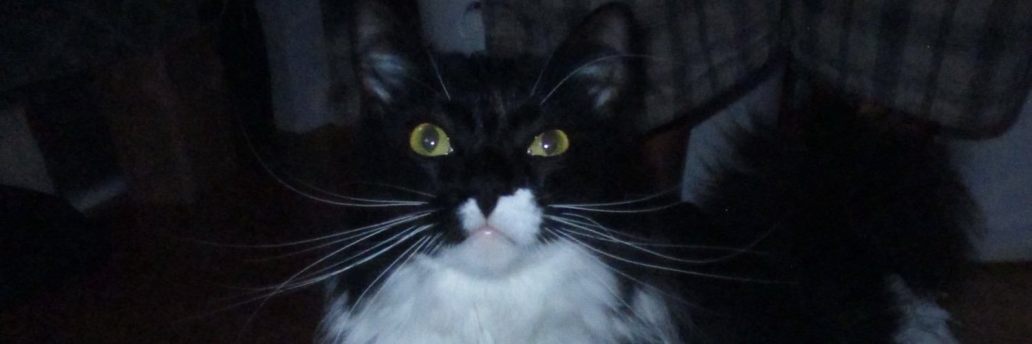 meowsapien's profile banner image