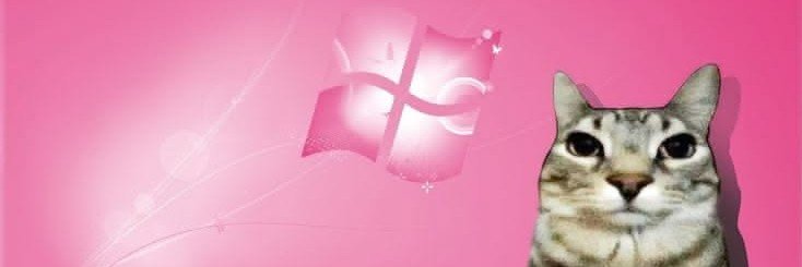 avispaarand6v's profile banner image