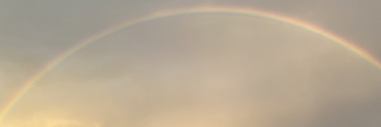 Sonia_f_c's profile banner image