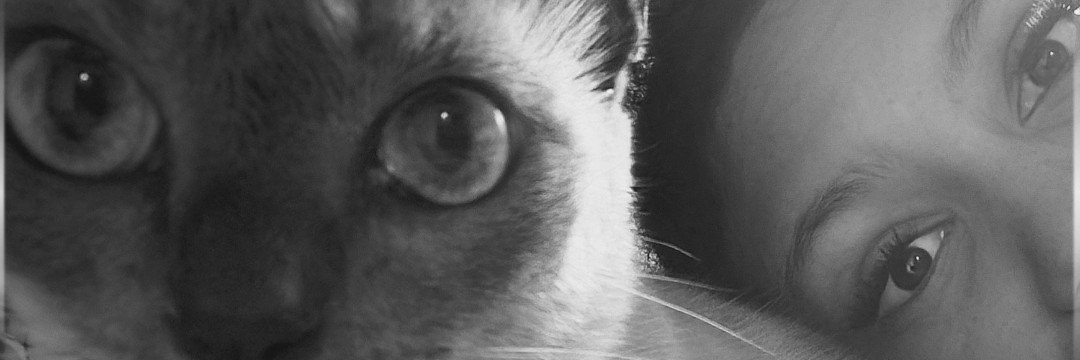 nalumdm's profile banner image
