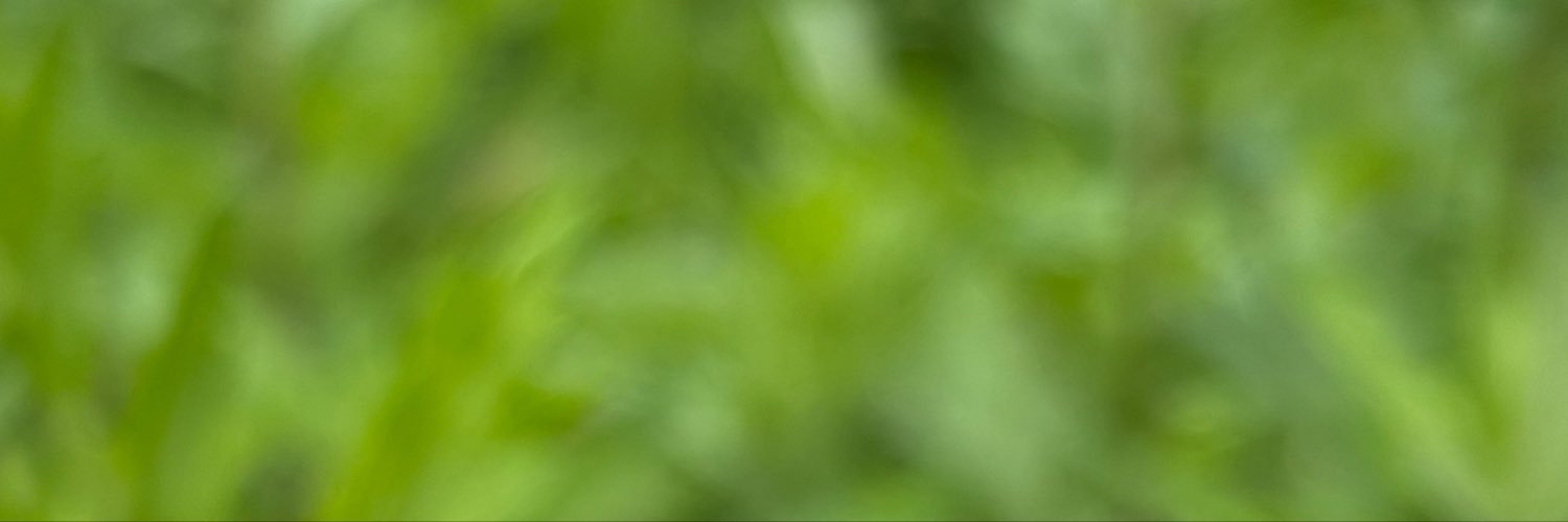 tossy_fire's profile banner image