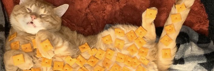 Kayla Baird banner