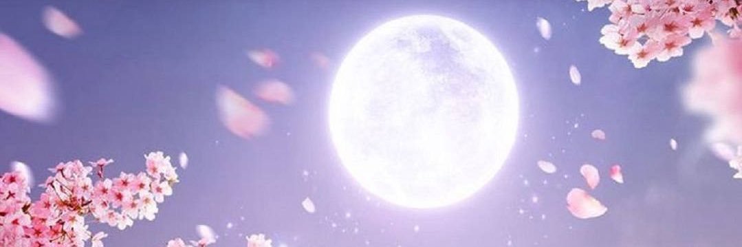 PUNKY THE SINGER banner