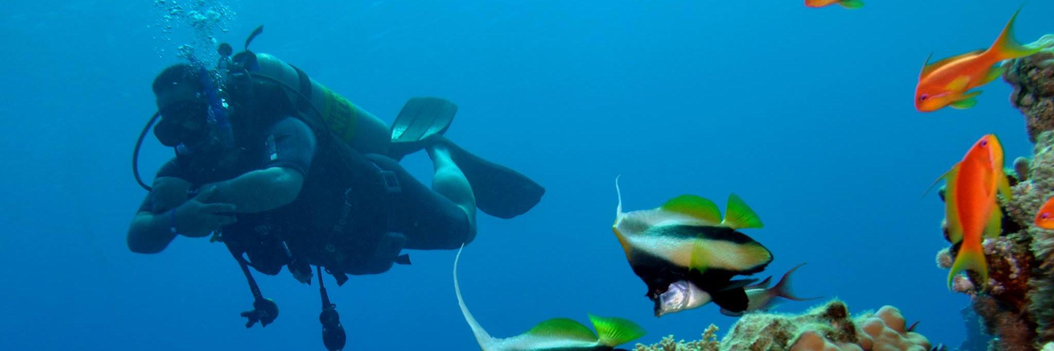 Khaled Ashour banner