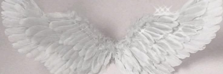 lacedsm's profile banner image