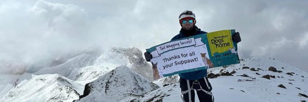 BhamDogsHome Profile Banner