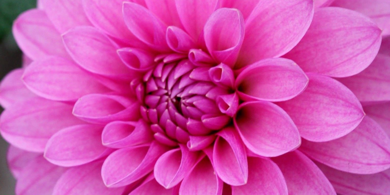 emmalodge's profile banner image