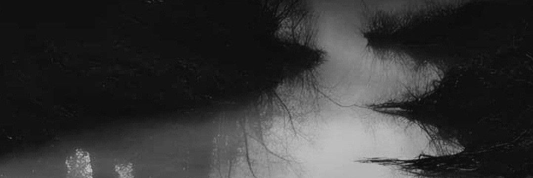 qwfxwerlb's profile banner image